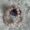 Bracelet Talisman en Quartz Rose
